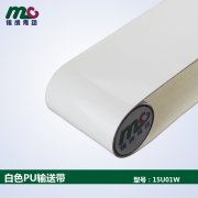 食品輸送帶顏色一定要求白色嗎？
